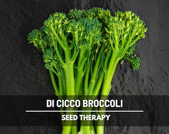 Di Cicco Broccoli Seeds – Heirloom, Non‑GMO, Open‑Pollinated Vegetable, Classic Italian Broccolini, Easy to Grow | 200 Seeds