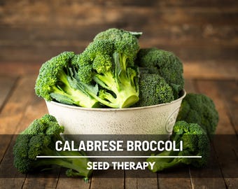 Calabrese Broccoli Seeds – Heirloom Italian Vegetable (100 Seeds)