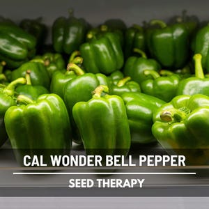 Cal Wonder Sweet Bell Pepper Seeds – Heirloom Vegetable, Classic All-Purpose Bell Pepper, Non-GMO | 30 Seeds
