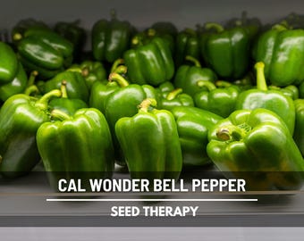 Cal Wonder Sweet Bell Pepper Seeds – Heirloom Vegetable, Classic All-Purpose Bell Pepper, Non-GMO | 30 Seeds