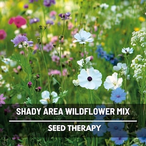 Wildflower Mix, Shady Area – 1,000 Seeds, Heirloom Flower Blend, Shade-Tolerant, Vibrant Colors for Shady Areas, Garden Favorite