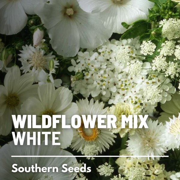 Wildflower Mix, White - 100 Seeds - Beautiful white flowers, Attracts pollinators, Garden Gift