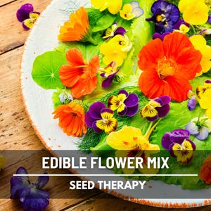Edible Flower Seed Mix – Assorted Edible Flowers, Culinary Use & Garden Blooms, Easy to Grow | 100 Seeds