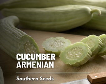 Cucumber, Armenian Yard-long - 30 Seeds - Heirloom Vegetable - Open Pollinated - Non-GMO (Cucumis sativus)