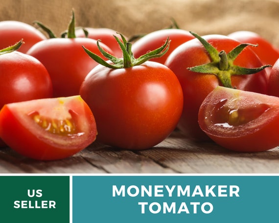 50 Seeds FREE SHIPPING Golden Jubilee Tomato Seeds BUY 2 GET 1 FREE NON-GMO 