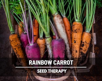 Rainbow Blend Carrot Seeds – Heirloom Colorful Carrots, Open Pollinated & Non‑GMO, Vegetable Garden Favorite | 100 Seeds