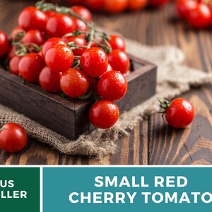 May include: A cluster of small, round, bright red cherry tomatoes with green stems and visible water droplets, contained within a dark wooden box. The text US SELLER and SMALL RED CHERRY TOMATO is displayed in white on a green and teal background.