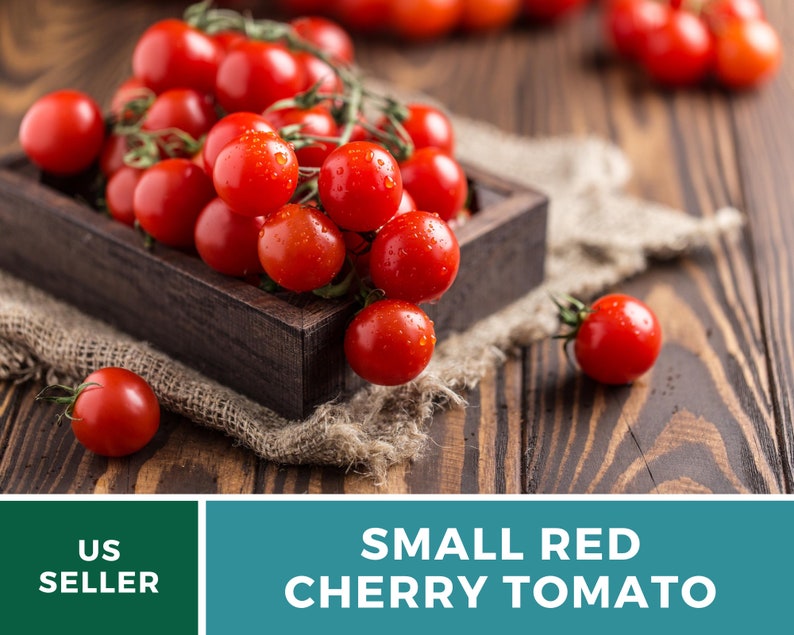 May include: A cluster of small, round, bright red cherry tomatoes with green stems and visible water droplets, contained within a dark wooden box. The text US SELLER and SMALL RED CHERRY TOMATO is displayed in white on a green and teal background.