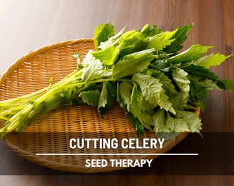 Cutting Celery Seeds - Heirloom Leaf Celery, Easy to Grow (200 Seeds)
