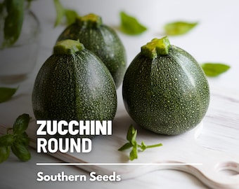 Squash, Zucchini Round - 25 Seeds - Heirloom Vegetable, Open Pollinated, Non-GMO, Easy to Grow (Cucurbita pepo)