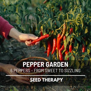 Pepper Seed Collection – 6 Heirloom Varieties from Mild to Wild, for a Custom Pepper Garden, Non-GMO