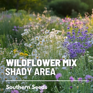 Puede incluir: Un campo de flores silvestres en un &aacute;rea sombreada. Las flores son una mezcla de blanco, morado y rosa. El texto "Wildflower Mix Shady Area" y "Southern Seeds" es visible en la imagen.