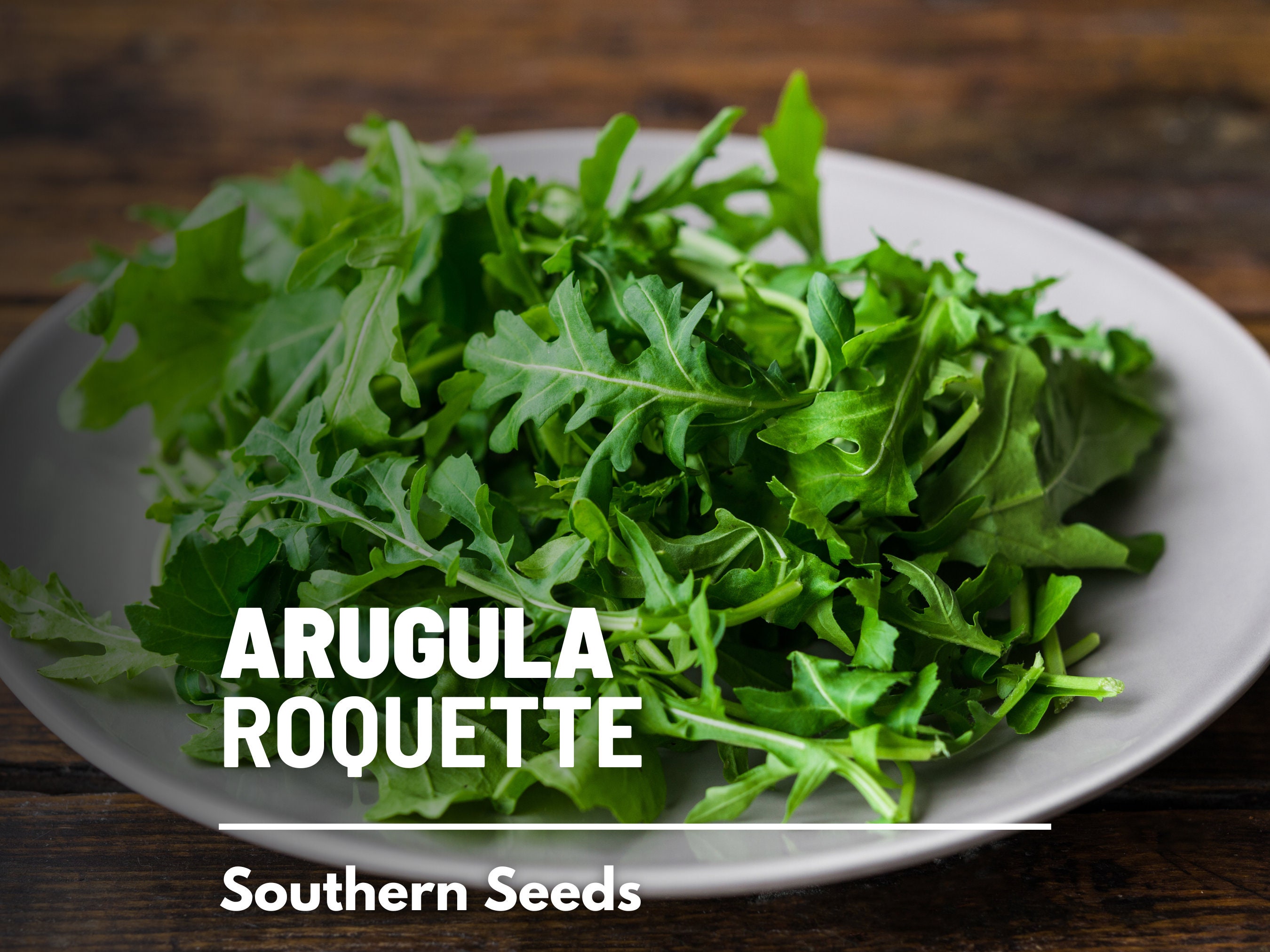 Arugula, Roquette (Eruca vesicaria sativa) - 200 Seeds - Southern