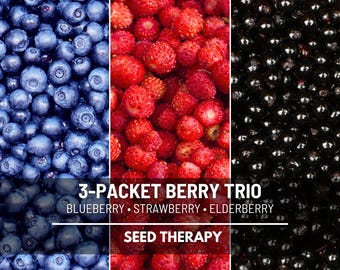 Berry Seed Collection – 3 Heirloom Varieties, Strawberry, Blueberry & Elderberry