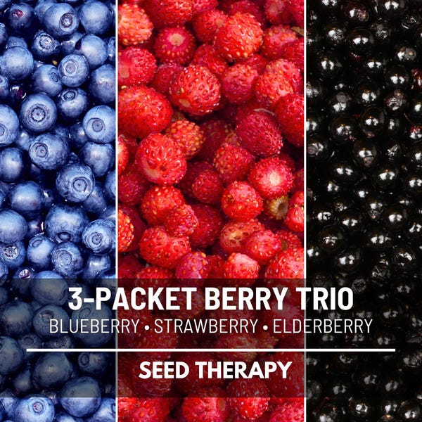 Berry Seed Collection – 3 Heirloom Varieties, Strawberry, Blueberry & Elderberry
