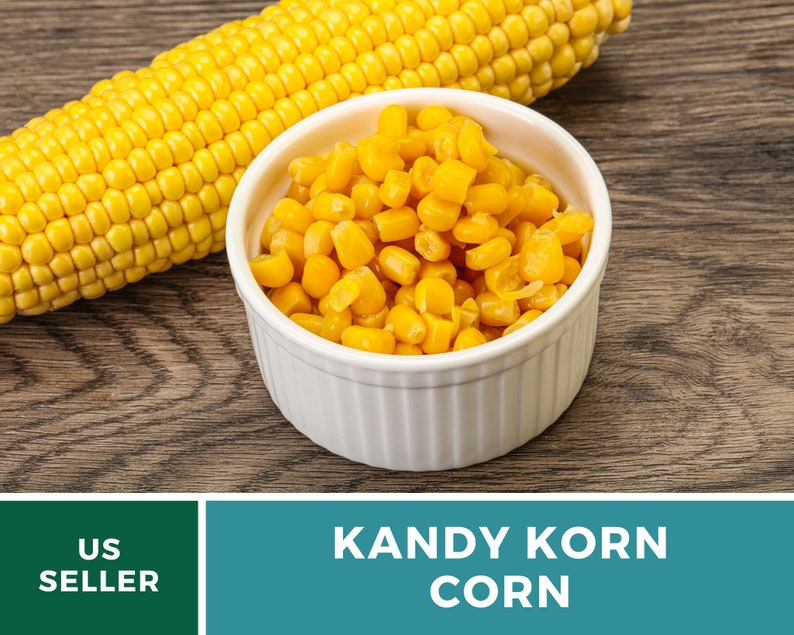May include: A white bowl filled with yellow corn kernels, next to a whole ear of yellow corn on a brown wooden surface. The text "KANDY KORN CORN" is displayed below the image.