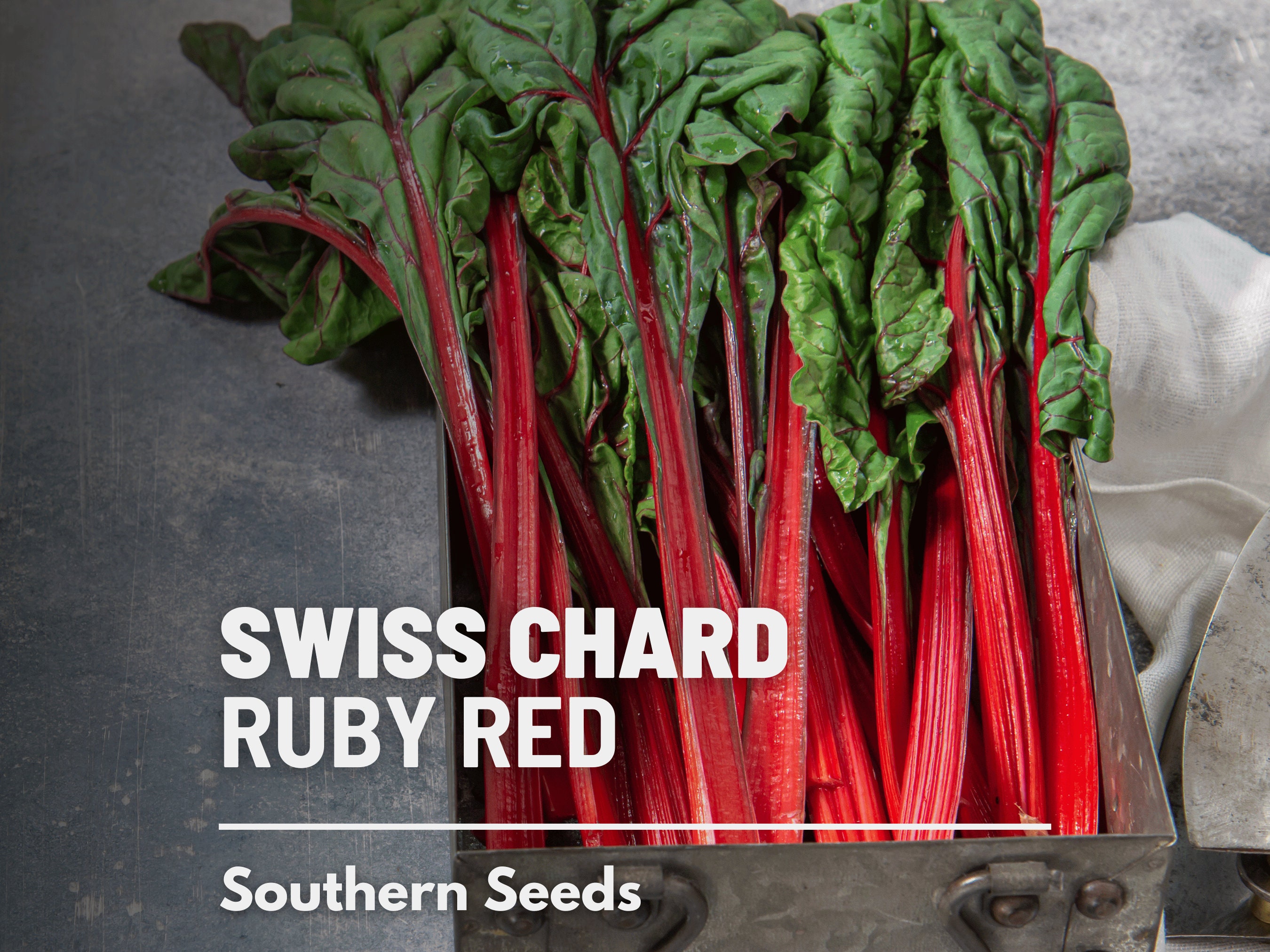 Ruby Red Rhubarb Swiss Chard Seeds