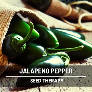 Jalapeno Pepper Seeds – Heirloom, Medium Heat, Prolific Garden Staple, Classic Flavor, Non-GMO | 25 Seeds