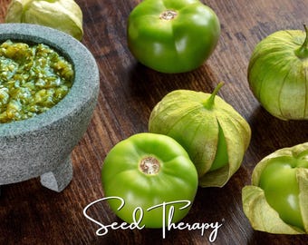 Semillas de Tomatillo Verde Rio Grande – Hortaliza tradicional, fruto grande, crecimiento determinado, planta compacta, fácil de cultivar / 50 semillas