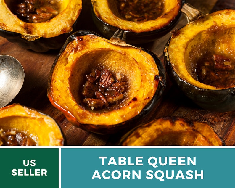 Seed Therapy Table Queen Acorn Squash Seeds - Thumbnail 5