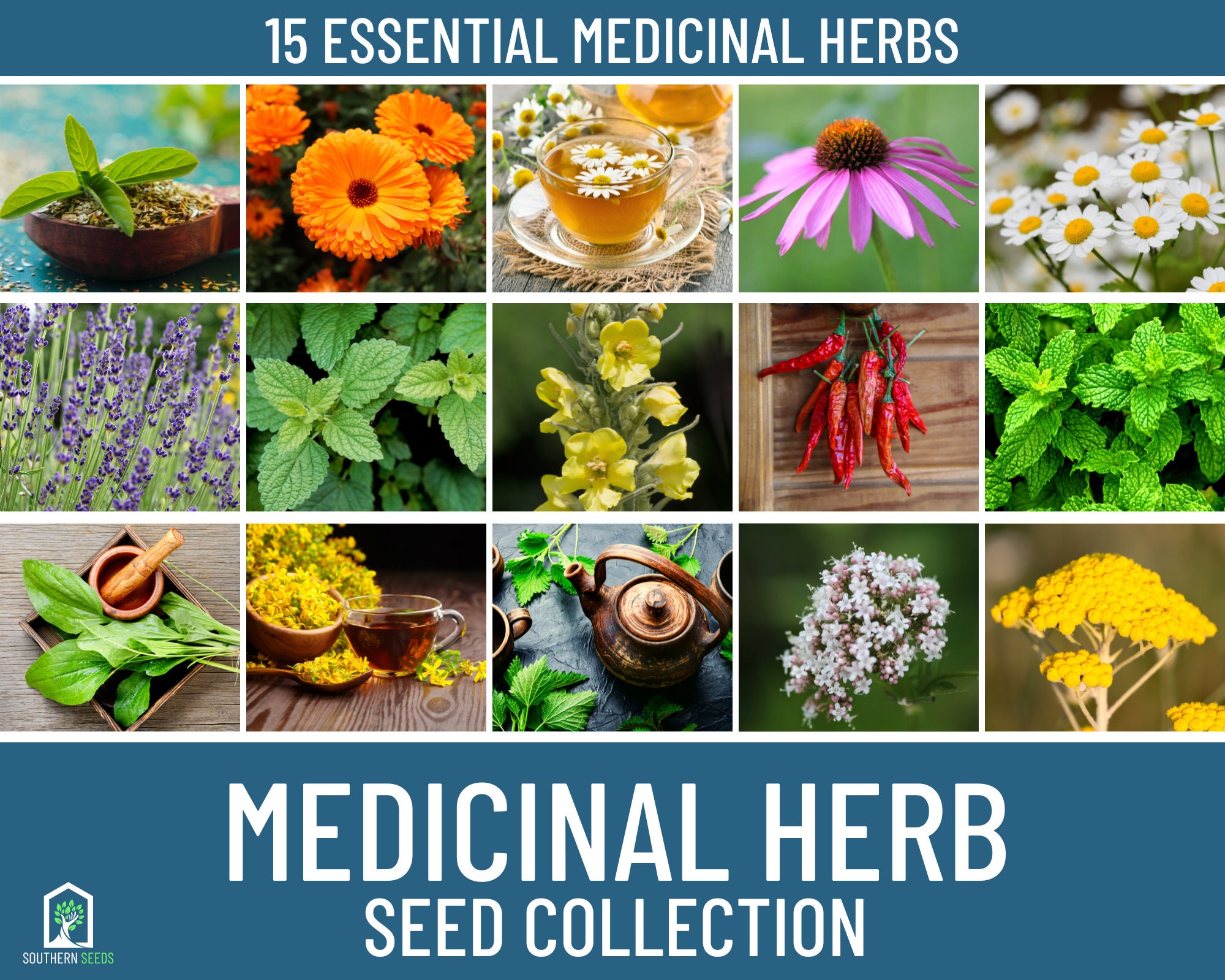 Medicinal Herb Seed Collection 15 Essential Heirloom Herbs Etsy