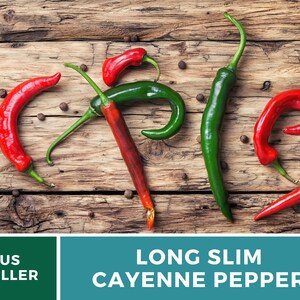 May include: A close-up of six long, thin red and green chili peppers arranged in a pattern on a wooden surface. The peppers are all about 6 inches long and have a slight curve to them. The peppers are arranged in a way that spells out the word "spice".