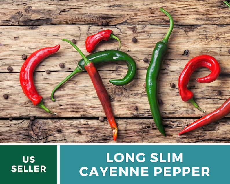 May include: A close-up of six long, thin red and green chili peppers arranged in a pattern on a wooden surface. The peppers are all about 6 inches long and have a slight curve to them. The peppers are arranged in a way that spells out the word "spice".