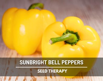 Sunbright Bell Pepper Seeds – Heirloom Yellow Sweet Pepper, Open Pollinated, Non-GMO, Productive and Crisp, Easy to Grow | 30 Seeds