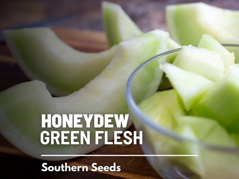 May include: Close-up of a bowl of cubed honeydew melon with green flesh. The melon is arranged in a bowl on a wooden surface. The text "HONEYDEW GREEN FLESH" and "Southern Seeds" is visible below the bowl.