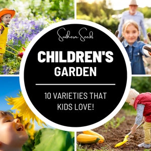 Kids Garden Seed Collection - 10 Amazing Seed Varieties - Engage Children in Gardening - Educational and Fun - Grow a Variety of Plants