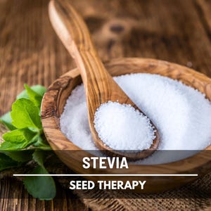 Stevia Seeds (Sugar Leaf) – Heirloom Herb, Natural Sweetener, Sugar Alternative, Medicinal Plant, Stevia rebaudiana | 50 Seeds image 8