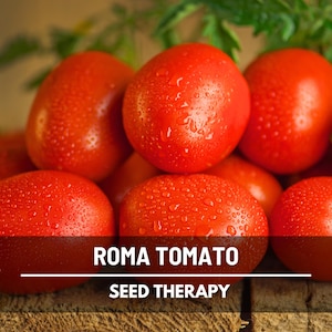 Roma VF Tomato Seeds – Heirloom Vegetable, Determinate Plant, Plum Tomato, Great for Canning and Tomato Paste | 50 Seeds