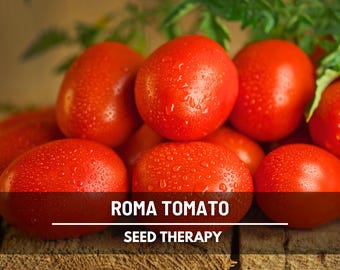 Roma Tomato Seeds - Heirloom Plum Vegetable, Great for Canning & Pastes (50 Seeds)