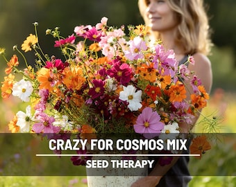 Crazy for Cosmos Seed Mix – 7 Breathtaking Heirloom Varieties (100 Seeds)