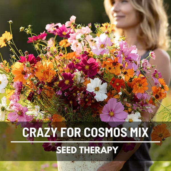 Crazy for Cosmos Seed Mix – 7 Breathtaking Heirloom Varieties (100 Seeds)