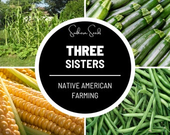 Three Sisters Seed Collection - Native American Farming - Corn, Bean, Squash - Mutually Beneficial Crops