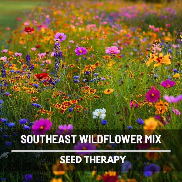 Southeast Wildflower Mix – 1,000 Seeds, Heirloom Flower Blend, 23 Varieties Perfect for Southeast Region, Garden Favorite