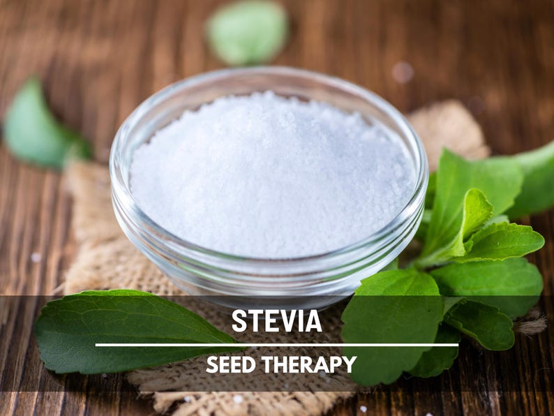 Stevia Seeds (Sugar Leaf) – Heirloom Herb, Natural Sweetener, Sugar Alternative, Medicinal Plant, Stevia rebaudiana | 50 Seeds image 6