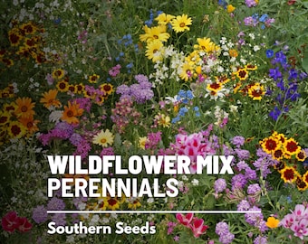 Wildflower Mix, Perennial - 1,000 seeds - Assortment of Perennial Wildflowers - Returns year after year - Adds long-lasting color and beauty