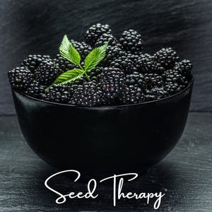 May include: A black bowl filled with fresh, dark purple blackberries topped with a small sprig of bright green leaves. The text "Seed Therapy" is written in a white, cursive script font at the bottom of the image against a dark background.