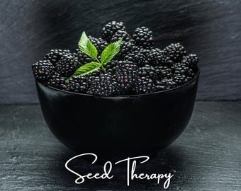 May include: A black bowl filled with fresh, dark purple blackberries topped with a small sprig of bright green leaves. The text "Seed Therapy" is written in a white, cursive script font at the bottom of the image against a dark background.