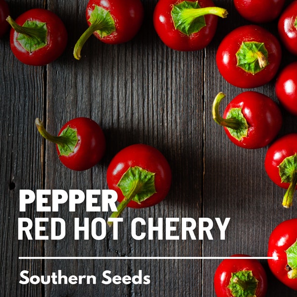 Pepper, Red Hot Cherry - 25 Seeds - Heirloom Vegetable - Small Fiery Pepper - Open Pollinated - Non-GMO (Capsicum annuum)