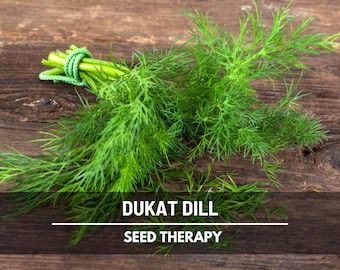 Dukat Dill Seeds – Heirloom Culinary & Medicinal Herb, Non-GMO, Classic for Pickling and Cooking | 100 Seeds