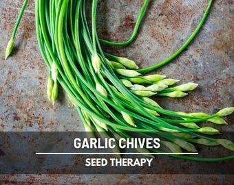 Garlic Chives Seeds - Heirloom Culinary Herb, Non-GMO, Edible Leaves (200 Seeds)