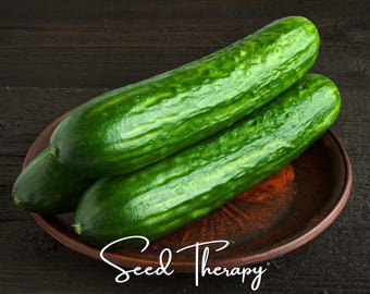 Semillas de pepino Beit Alpha – Variedad tradicional, crujiente y tierna para rebanar, sin OMG (30 semillas)