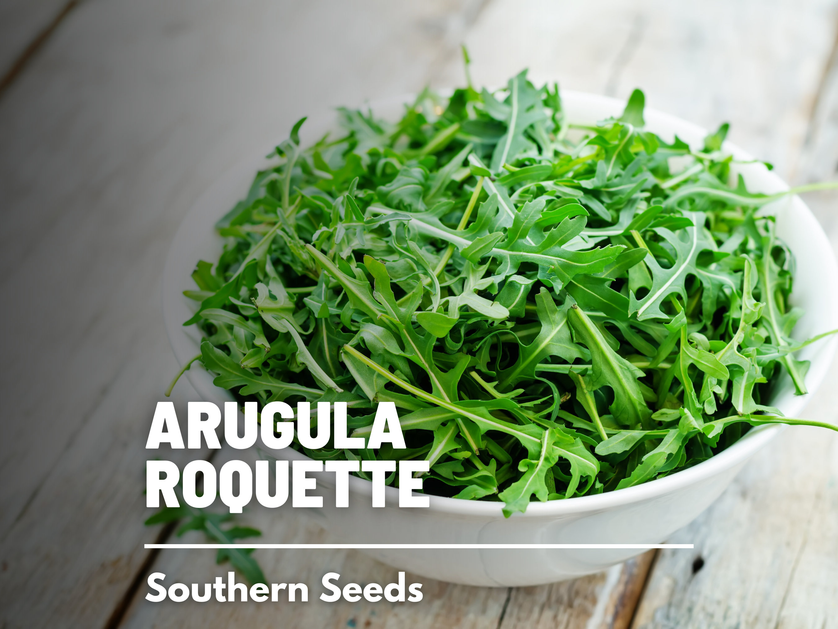 Arugula Roquette Heirloom Seeds Open Pollinated Non-GMO 