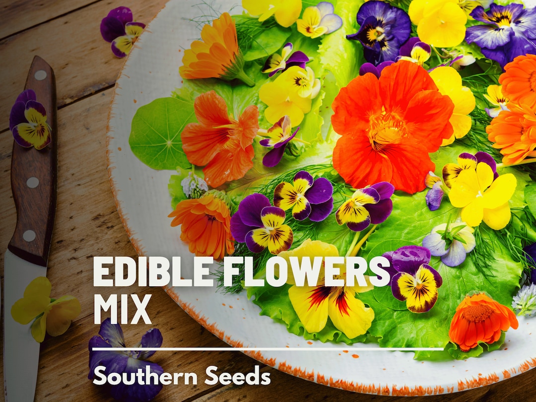 Edible Flower Seed Mix 100 Seeds Assorted Edible Flowers Suitable for
