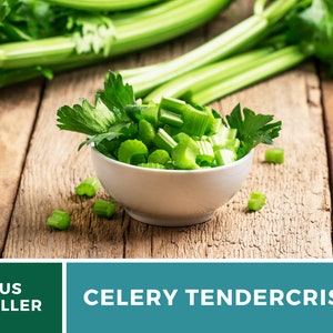May include: A white bowl filled with chopped celery stalks and leaves, with whole celery stalks in the background. The bowl is on a wooden surface. US SELLER CELERY TENDERCrisp