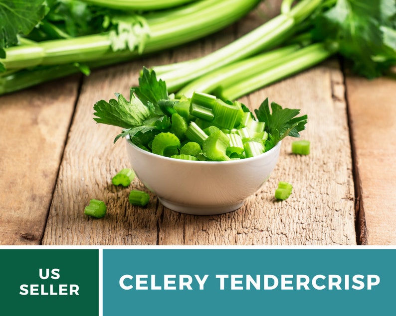 May include: A white bowl filled with chopped celery stalks and leaves, with whole celery stalks in the background. The bowl is on a wooden surface. US SELLER CELERY TENDERCrisp
