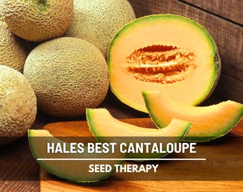 Hale's Best Jumbo Cantaloupe Seeds – Heirloom, Powdery Mildew Resistant (50 Seeds)